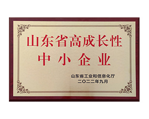 山东省高成长性中幼企业